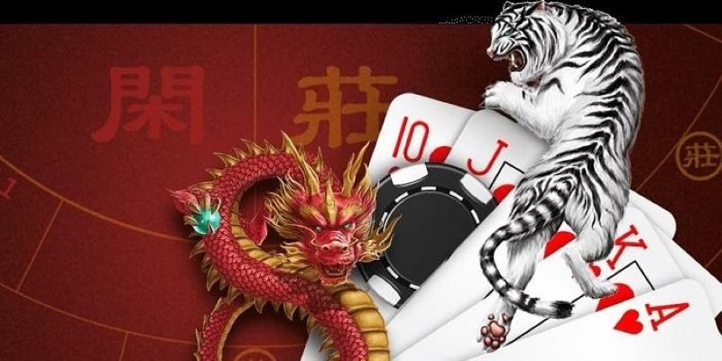  Rồng hổ Kubet cung cấp nhiều chiến thuật chơi độc đáo